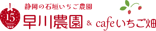 静岡の石垣いちご農園 早川農園&cafeいちご畑